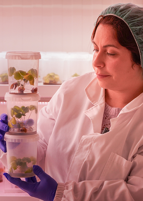 lab oriz_0005_DSC08589